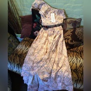 NEW! WILDFOX super rare Birdie chevron top skirt